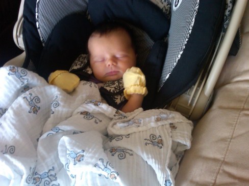 img00011-20110731-1536