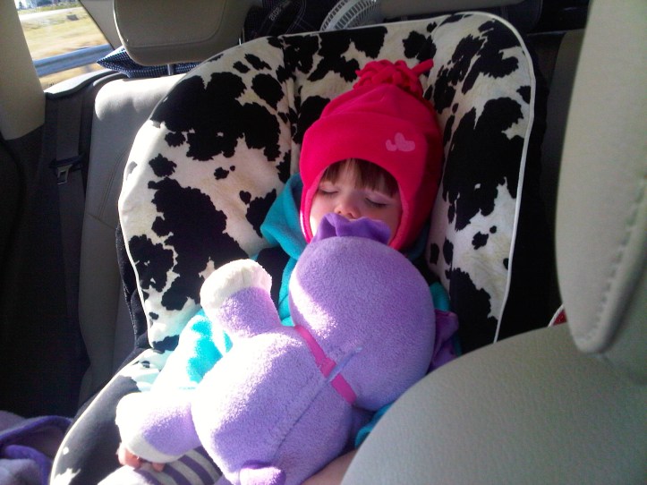 Quit hogging the car seat!