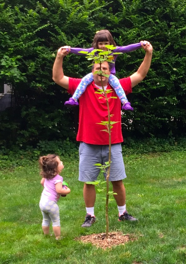 This tree is out of control!