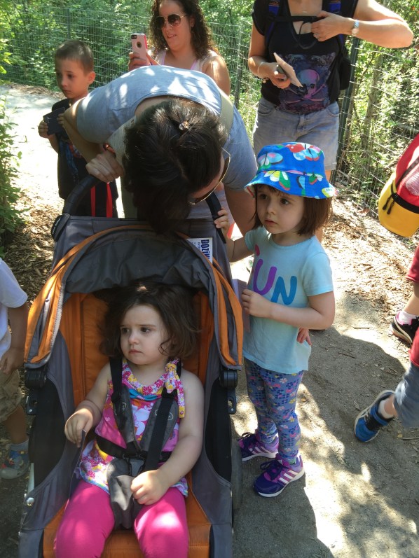 It's all fun and games until the T-Rex roars